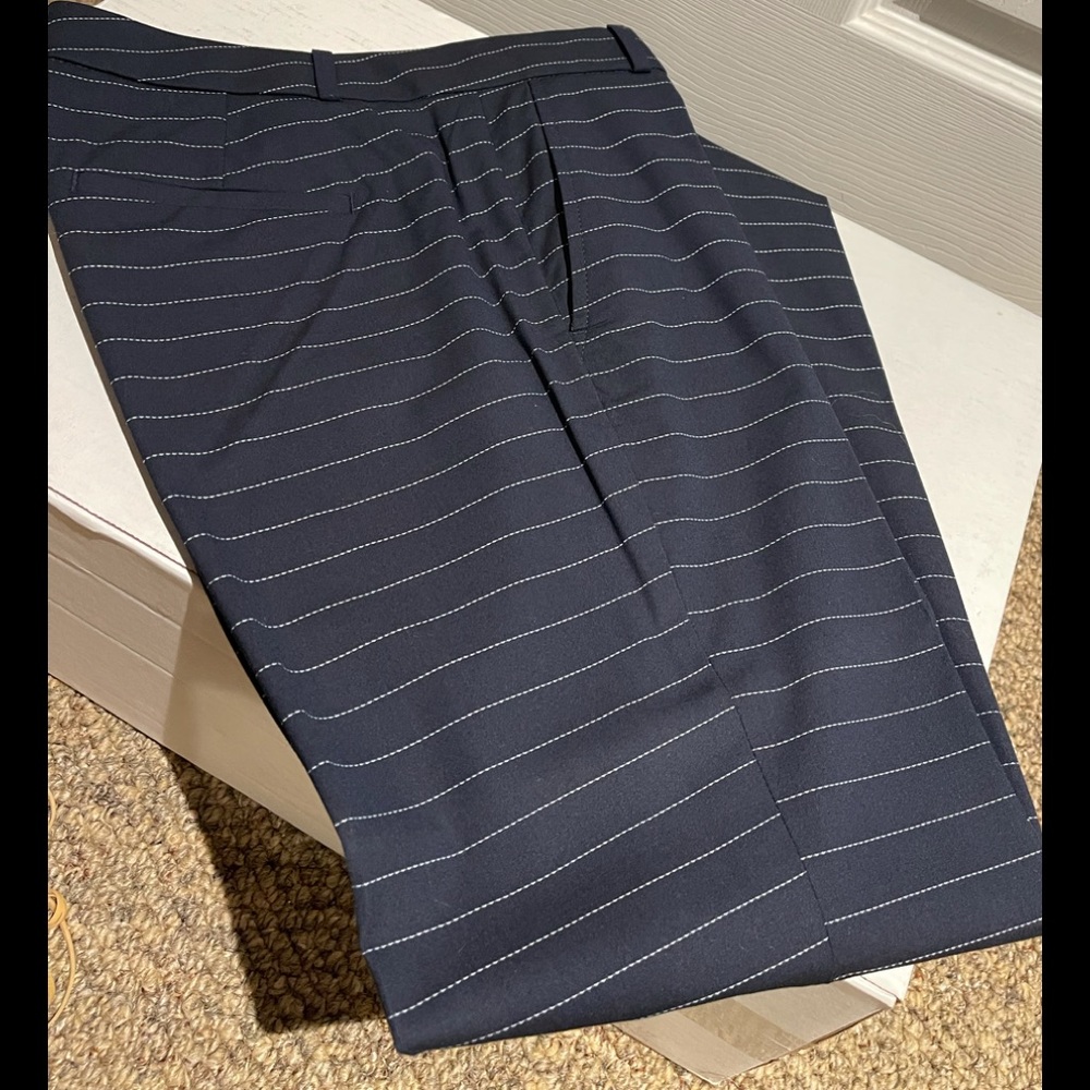 Banana Republic Riley Horizontal Stripe Pants